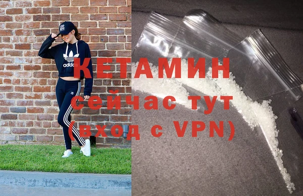 трава Богородицк