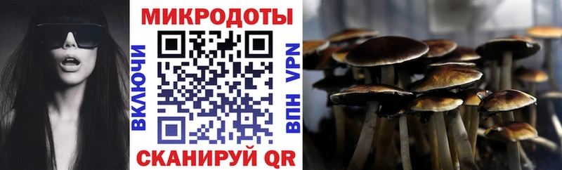 Купить закладки  Кологрив  Галлюциногенные грибы мицелий 
